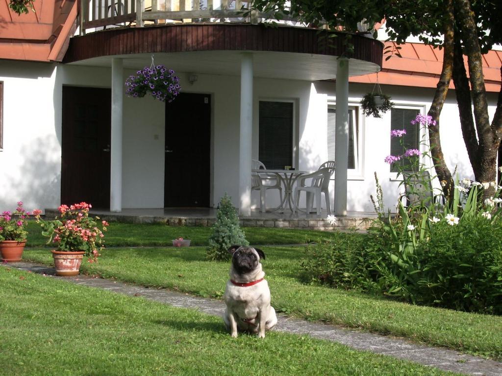 Maenni Guesthouse Haapsalu Quarto foto